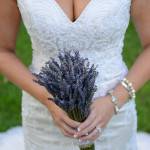 Lavender And Lace